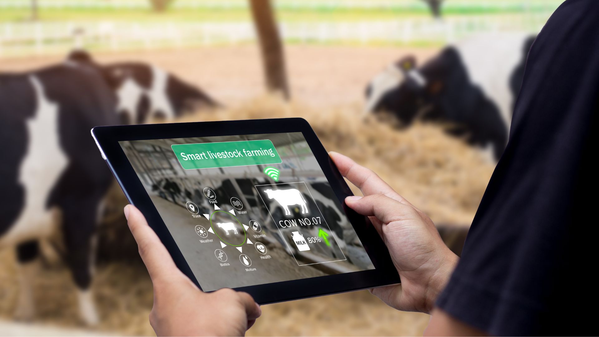 The Essential Guide to Farm Business Consulting_ How to Optimize Your Agricultural Enterprise