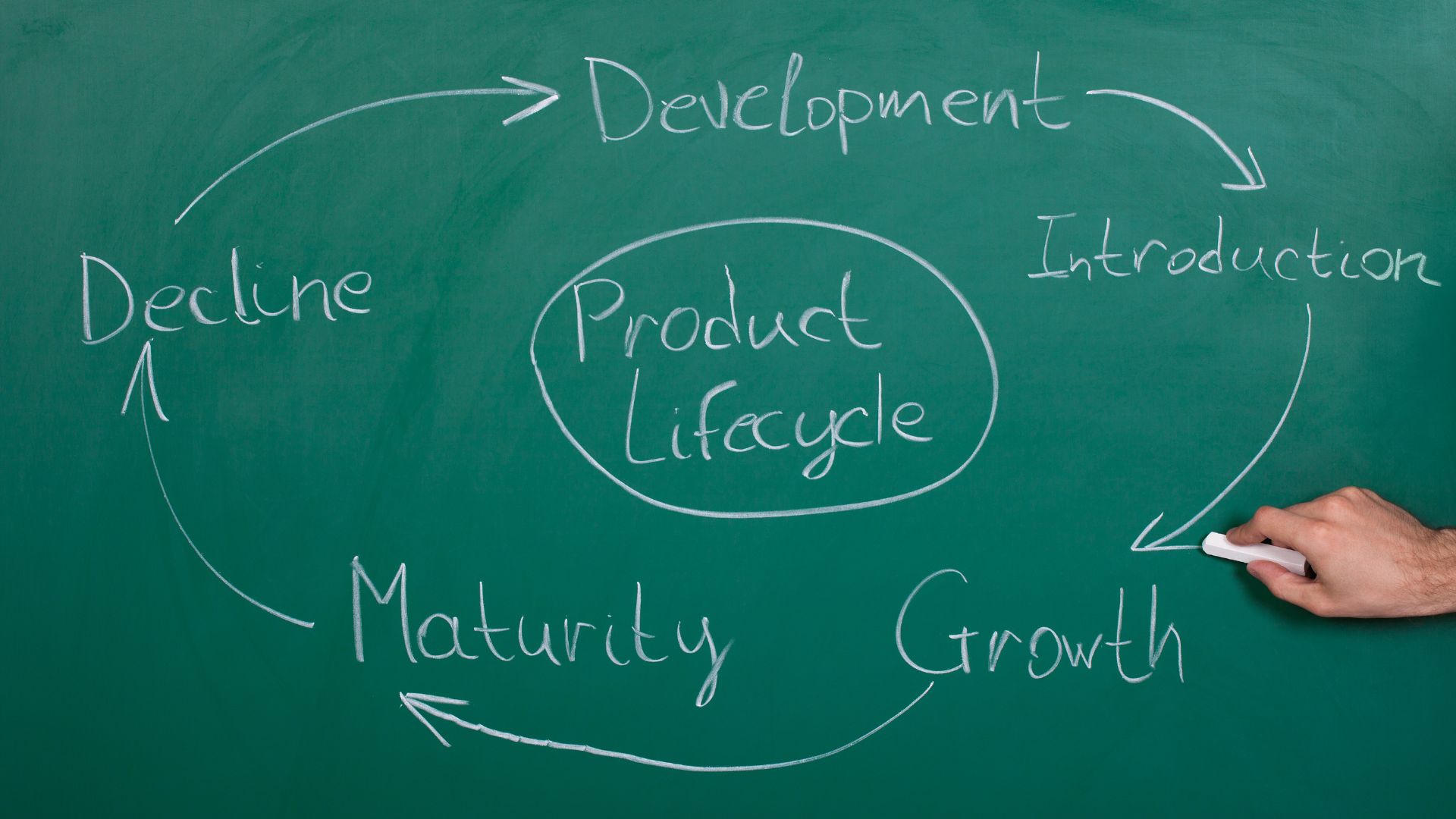 navigating-the-product-lifecycle-growth-opportunities